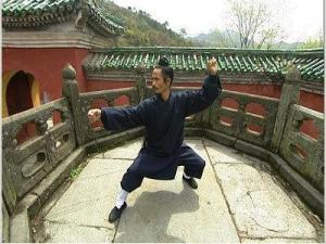 五祖鹤阳拳