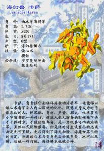 海怪卡萨