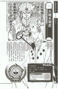 阵之书大筒木羽衣资料