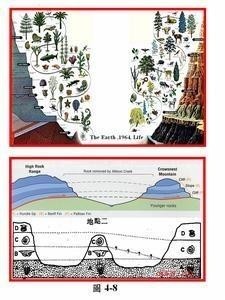 地质年代
