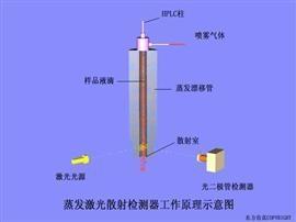 蒸发光散射检测器工作原理示意图