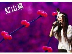 红山果