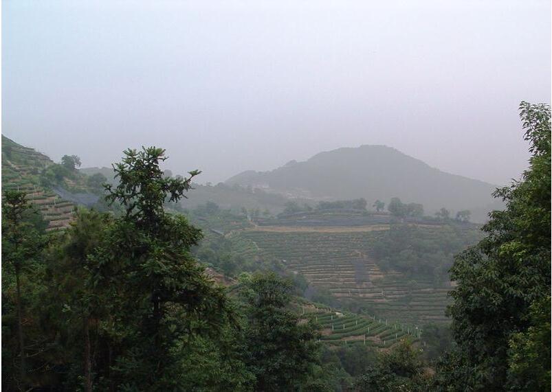 翁家山