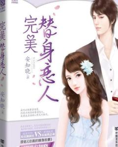 总裁的替身前妻 搜狗百科