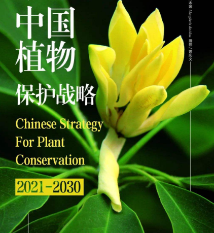 植物保护