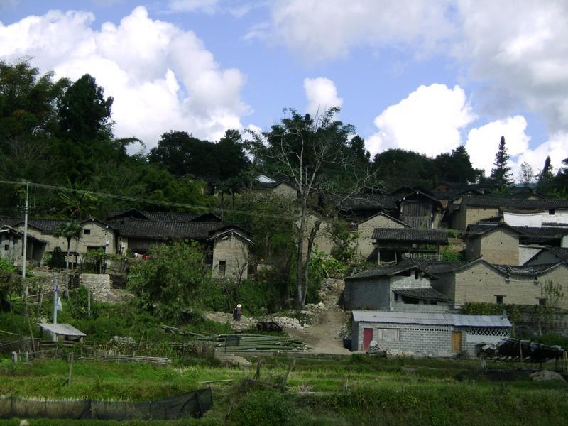 劉家寨村(新平縣戛灑鎮冬瓜林村民委員會下轄村) - 搜狗百科