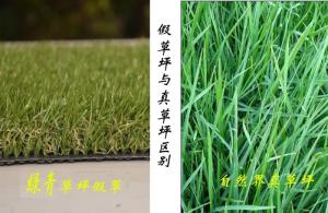 真假草坪的细处对比