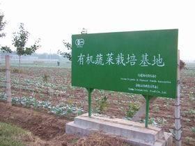 夏张镇