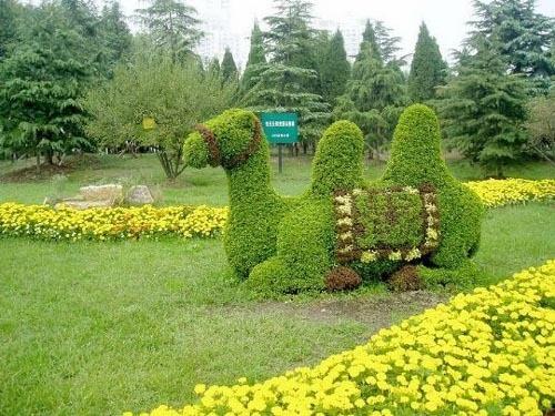 添加义项 同义词  收藏 分享 编辑词条 模纹花坛又叫毛毡花坛或模样