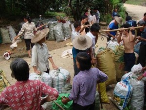 蒙江镇马星村销售无公害蔬菜