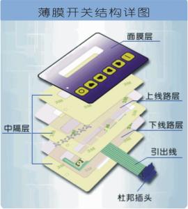 柔性薄膜开关结构图