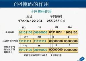 子网掩码作用