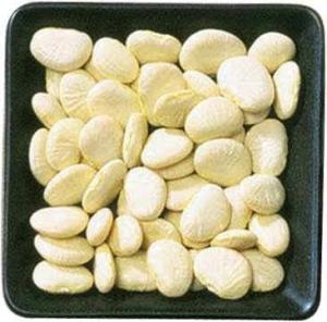 利马豆种子