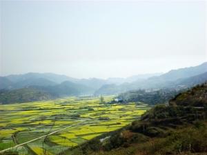 南明阳坝