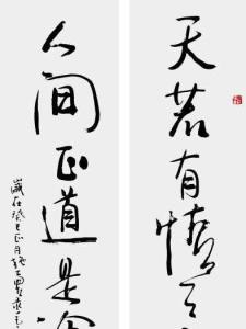 天若有情天亦老