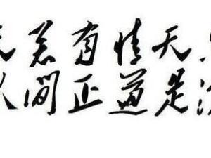 天若有情天亦老