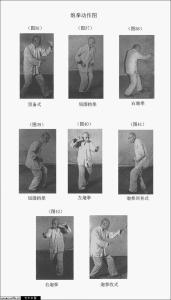 动作图