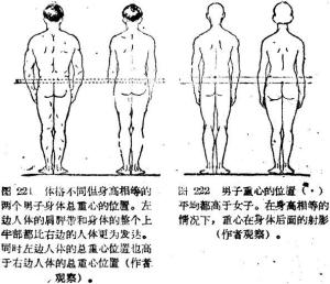 两性差异