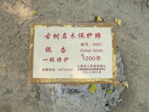 古树编号0001