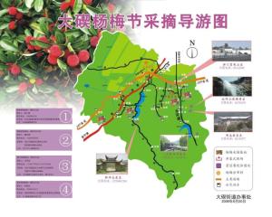 大碶镇杨梅采摘节旅游图