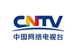 网络电视台
