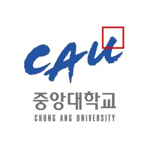韩国中央大学