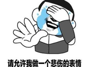 请允许我做一个悲伤的表情