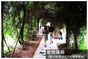 爱情藤廊【霸王祠/流浪式户外露营基地】