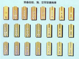 预备役军官军衔图片