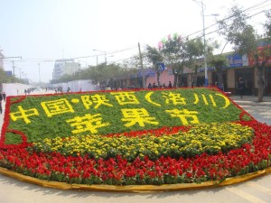 洛川县苹果节