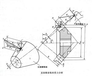 直齿锥齿轮受力分析