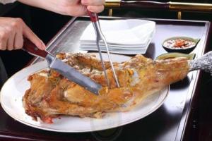 小牛肉图册