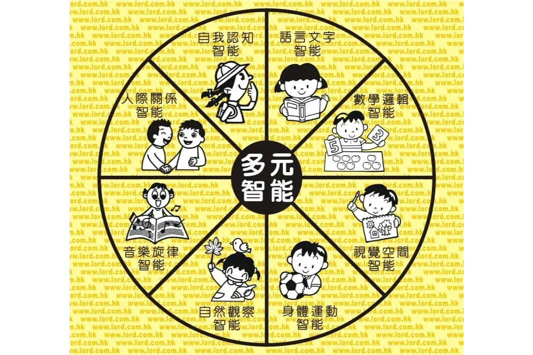 加德纳的多元智能理论(人类智能结构的理论)_搜狗百科