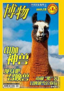 杂志封面