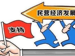 民营企业经济发展