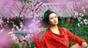 2013版秦红棉