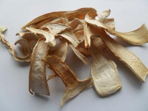 松茸