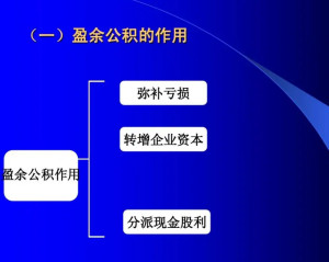 盈余公积