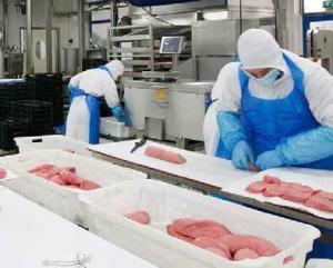 小牛肉图册