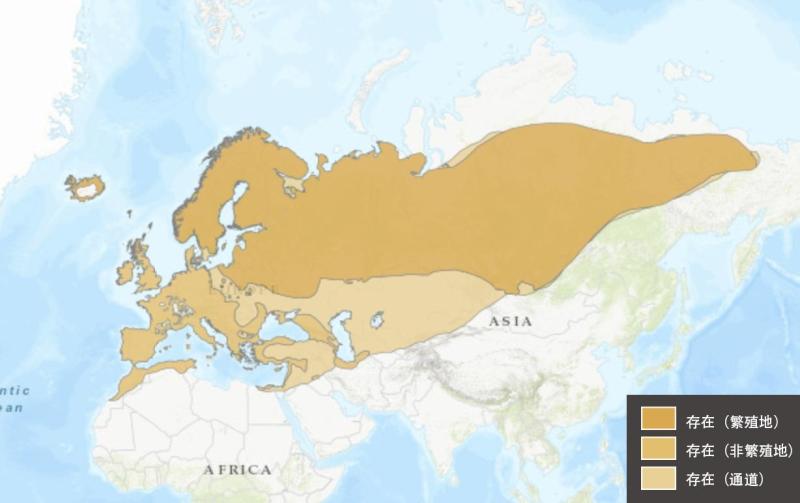 白眉歌鸫分布图 白眉歌鸫分布图