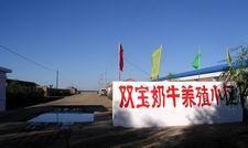 新惠镇