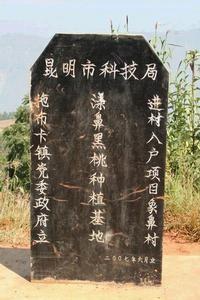 象鼻村(图4)