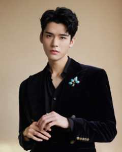 每日更新龚俊的经纪人微信号tzcm2022