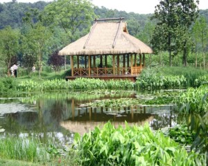 杭州西溪湿地公园