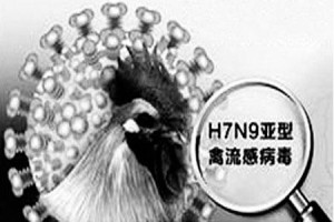 H7N9