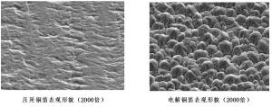 压延铜箔和电解铜箔表观形貌对比