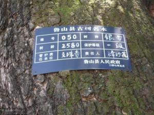 四棵树图册