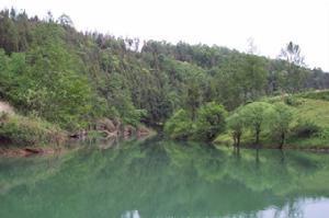 平静的湖面