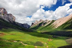 高山牧场