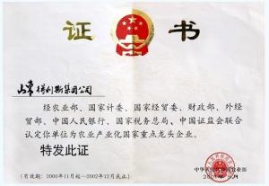 公司荣誉图册